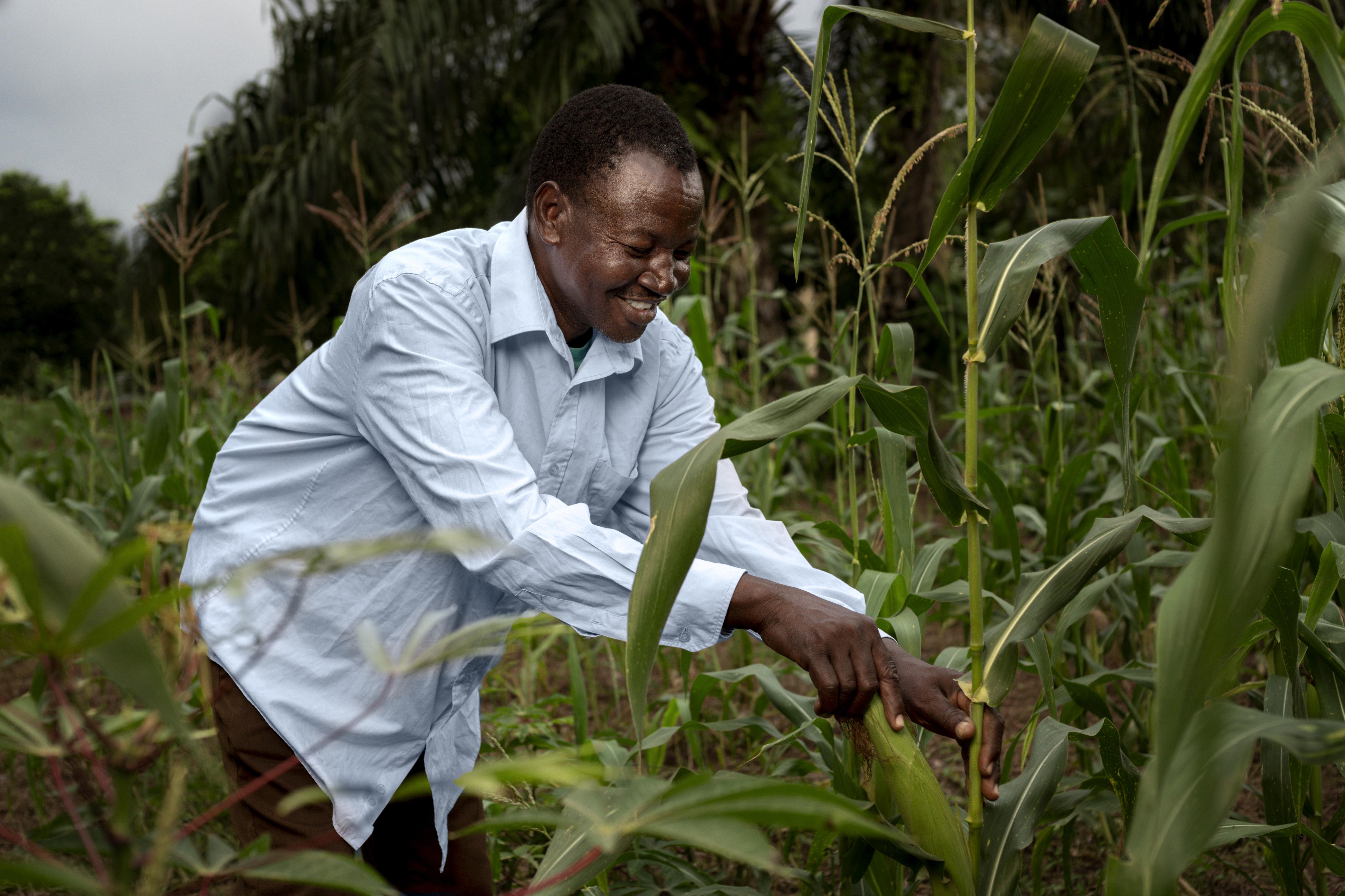 Agricultural Support Program